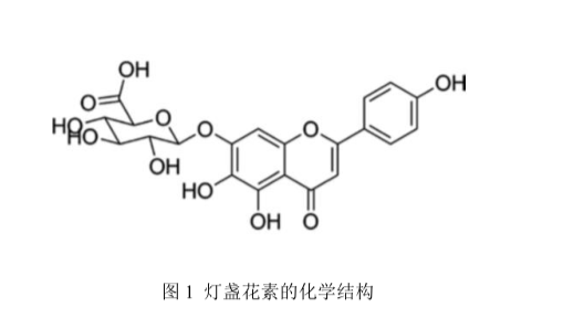 灯盏花素(bre)聚合物胶束的制备