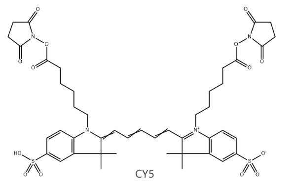 荧光染料