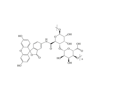 FITC-Alginate,异硫氰酸荧光素-海藻酸钠