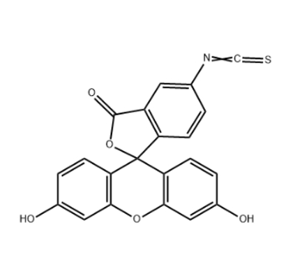 常用荧光染料及其适用对象（一）