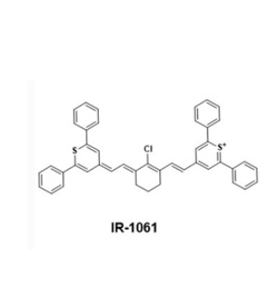 DPPE-IR,二棕榈酰磷脂酰乙醇胺-近红外染料