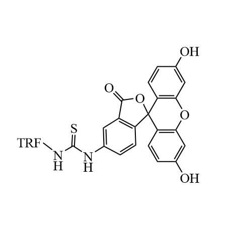 FITC-Transferrin,异硫氰酸荧光素-转铁蛋白