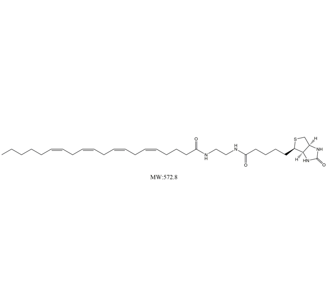 Biotin-AA,生物素-花生四烯酸