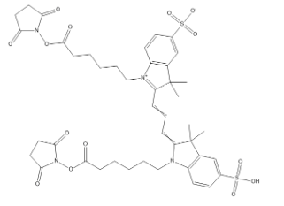 常用荧光染料及其适用对象（二）