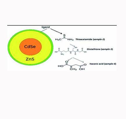 CdSe/ZnS QDs  硒化镉-硫化锌量子点的应用
