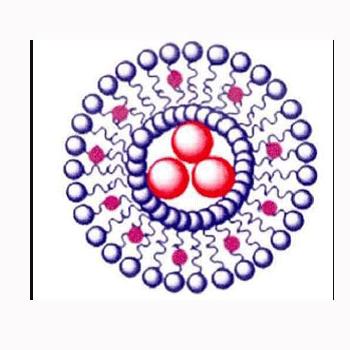 多柔比星脂质体 Adriamycin liposomes 阿霉素脂质体的特点