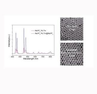 NaYF4：Yb/Tm 40/2 四方相纳米颗粒的简介