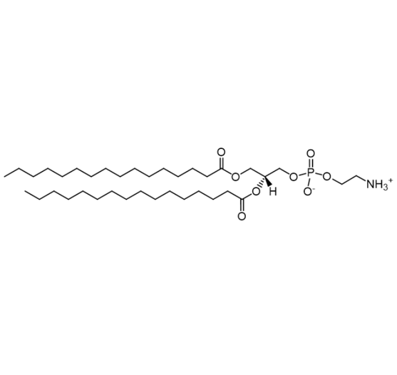 DPPE-NIR dyes,二棕榈酰磷脂酰乙醇胺-近红外一区染料