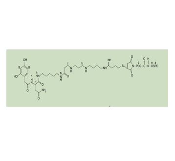DSPE-PEG2000-MAL和DSPEPEG2000-NH2在纳米结构脂质载体制备中的应用