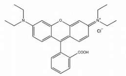 罗丹明 B 在生物医学领域和分析化学领域的应用生物
