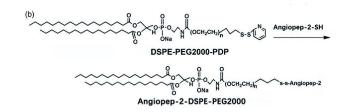 Angiopep-2-DSPE-PEG2000的合成路线