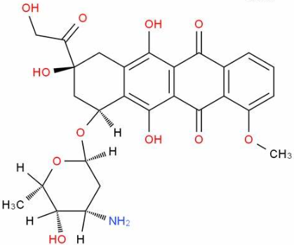 H2N-PEOz在制备BP-DOX@PDA-PEOz-BTZ中的作用
