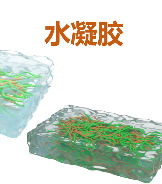 前体聚合物己二酸酰肼改性HA-ADH在水凝胶胶粘剂中的应用