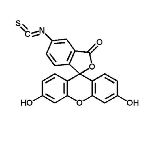 双磷酸-聚乙二醇2000-荧光素异硫氰酸酯的制备过程及应用