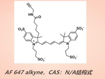 DPPE-Alexa Fluor,二棕榈酰磷脂酰乙醇胺-AF荧光染料