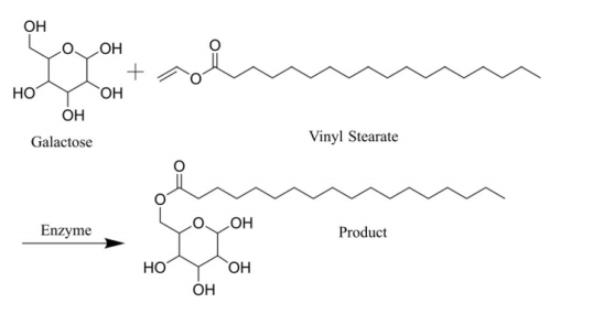 半乳糖化硬脂酸盐（Galactosylated stearate）参与制备囊泡系统的制备方式