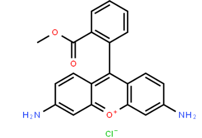 磷脂-X-罗丹明的制备原理和具体过程