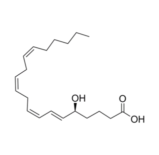 5-HETE 、16(R)-HETE、19(S)-HETE在UPLC-Q/TOF-MS综合代谢组学分析的应用