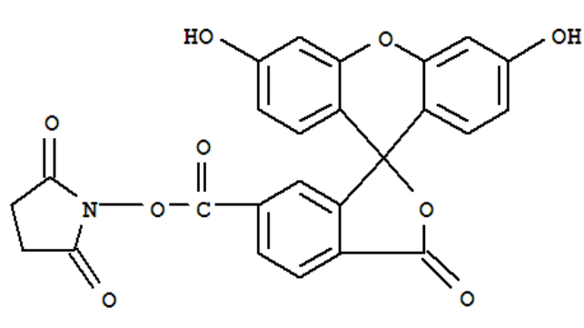6 - 羧基荧光素作为荧光标记物的优势