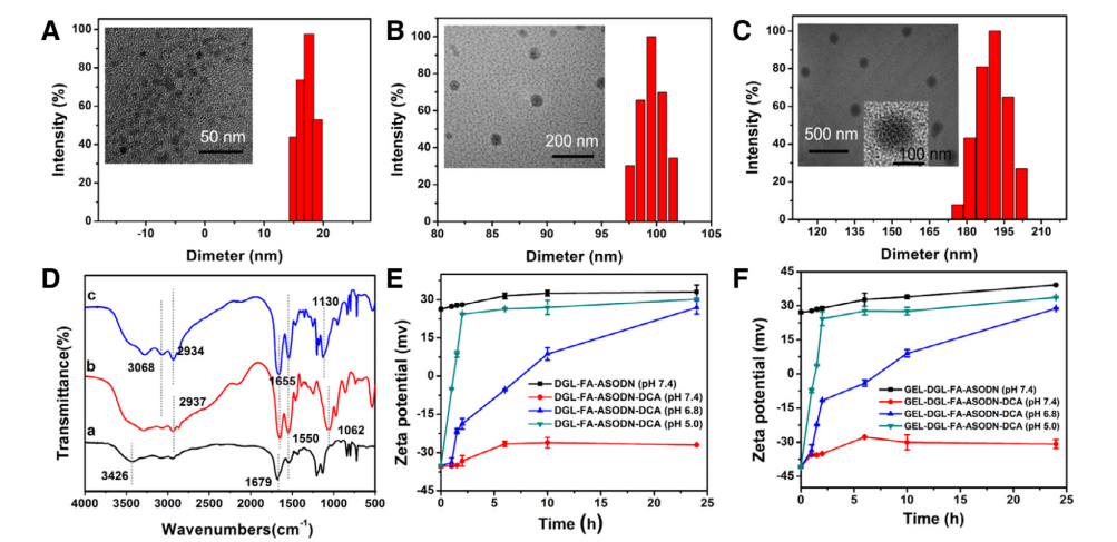 PEG衍生物制备HIF-1αASODN负载纳米复合材料