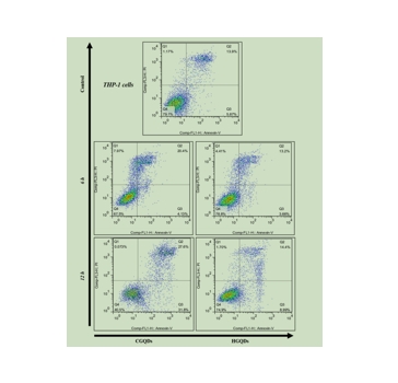 HGQDs和CGQDs的Apoptosis 分析