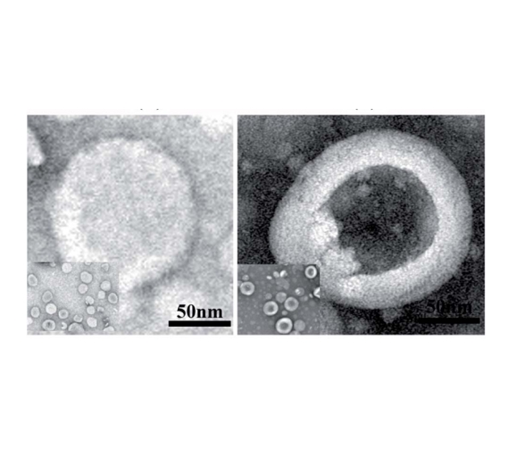 DSPC、cholesterol、DSPE-mPEG2000制备空白脂质体的应用