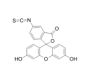 FITC-Ferritin,异硫氰酸荧光素-铁蛋白