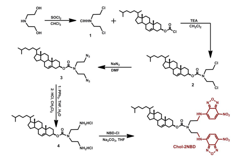目标产物(Chol-2NBD)的合成路线