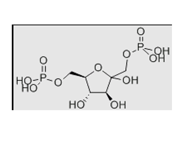 果糖-1,6-二磷酸的制备方式
