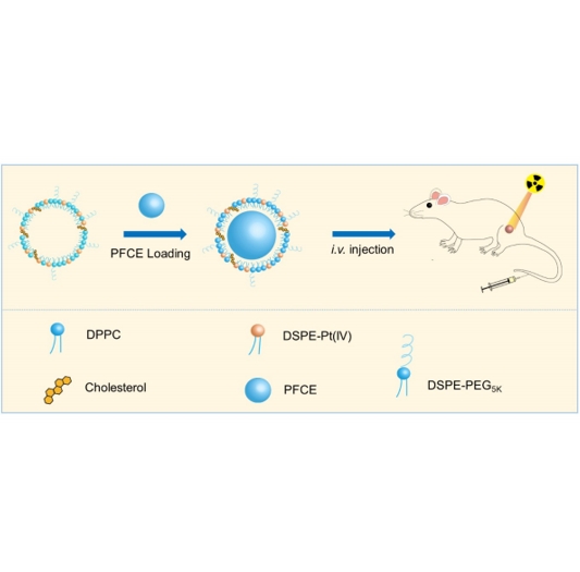 DPPC、DSPE在PFCE@cisPt（IV）-Lip的应用 