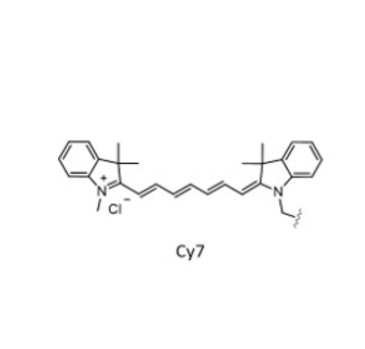 聚 β-氨基酯  10000-聚乙二醇 5000-菁染料 CY7 PAE10K-PEG5K-CY7的优缺点