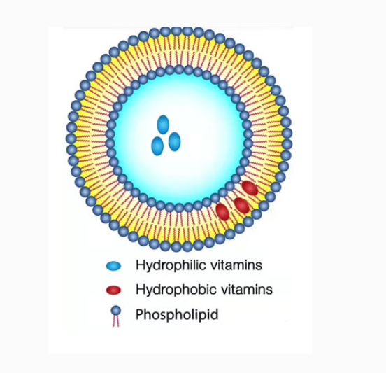 IL-27 Modified Liposome  il27修饰的脂质体的产品特点