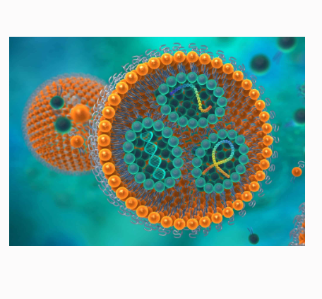 CY5.5-Labeled Liposomes   CY5.5修饰脂质体（100-200nm）的相关特性