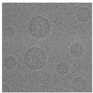 liposome nanoparticles 脂质体纳米粒的制备方法