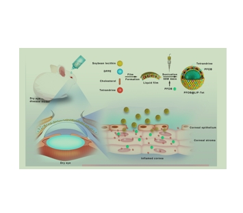 Cholesterol在PFOB@LIP-Tet制剂Treatment 效果中的应用
