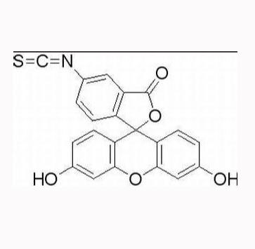 双磷酸-PEG2K-FITC 双磷酸-聚乙二醇2000-荧光素异硫氰酸酯的介绍