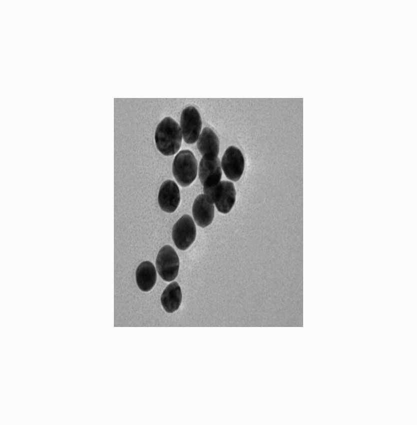 水溶性Yb18% Er2% 40nm   YbEr水溶性纳米颗粒的简介