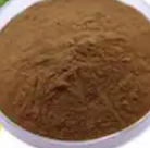 简单香豆素的结构修饰与生物活性增强