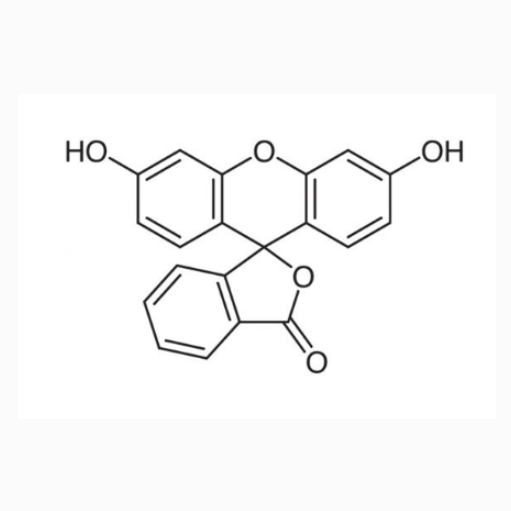 FITC标记花生凝集素 FITC-PNA  绿色荧光素标记花生凝集素的应用途径