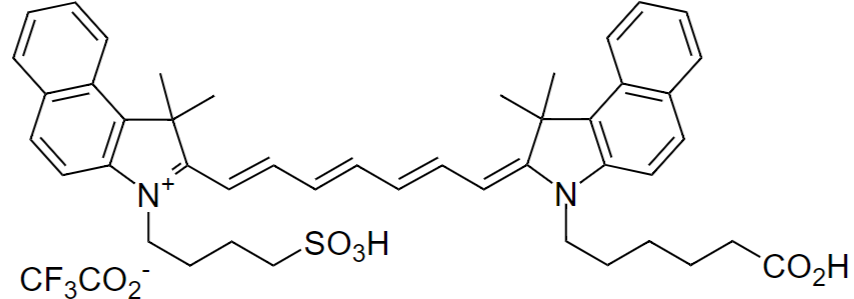 吲哚菁绿荧光成像技术
