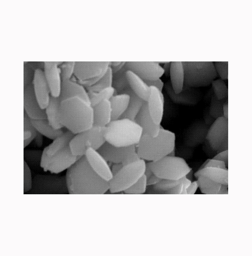 Water-soluble Yb18% Er2% 100nm  水溶性Yb18% Er2% 100nm的应用