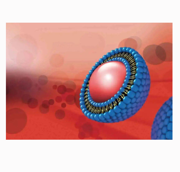 Cationic Liposome Encapsulated OVA + R848  OVA/R848阳离子脂质体纳米颗粒的制备方法