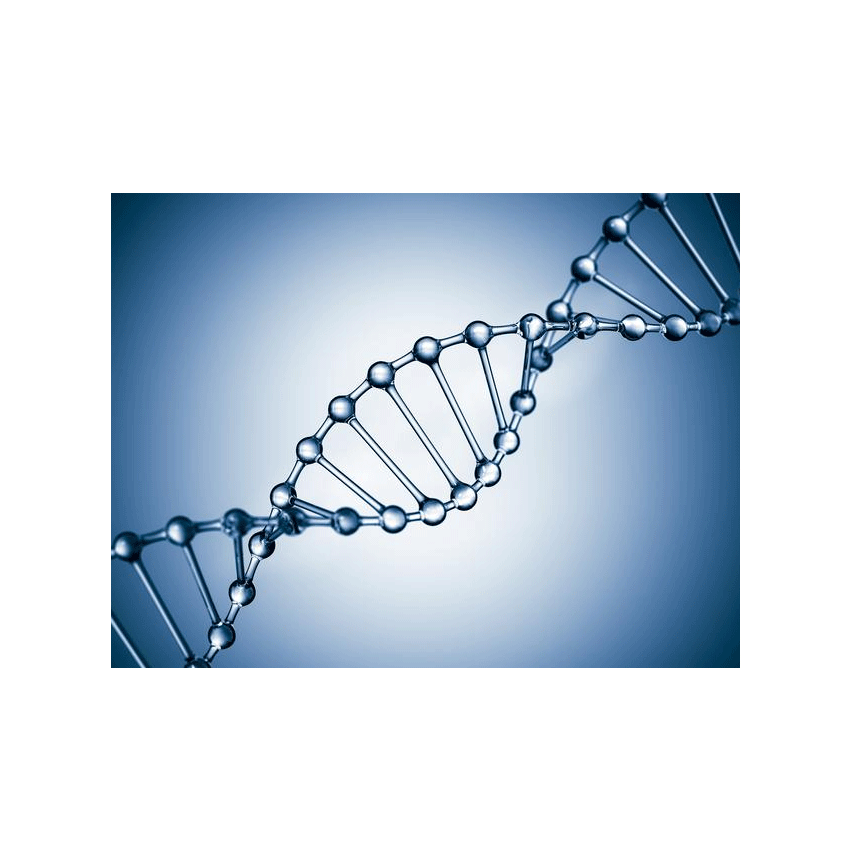 DNA@liposome-LPS DNA@-脂质体—LPS中LPS 的应用