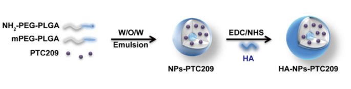 NH2-PEG-PLGA 和mPEG-PLGA在BMI- 1抑制剂（PTC209）制备中的应用