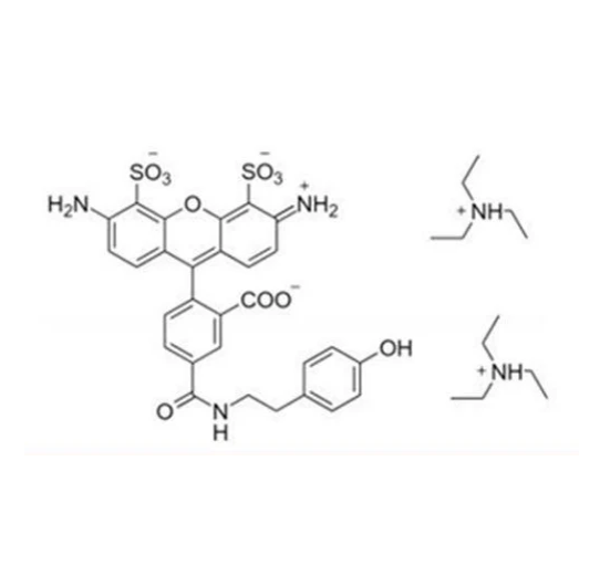 AF 荧光染料的特性及其影响因素