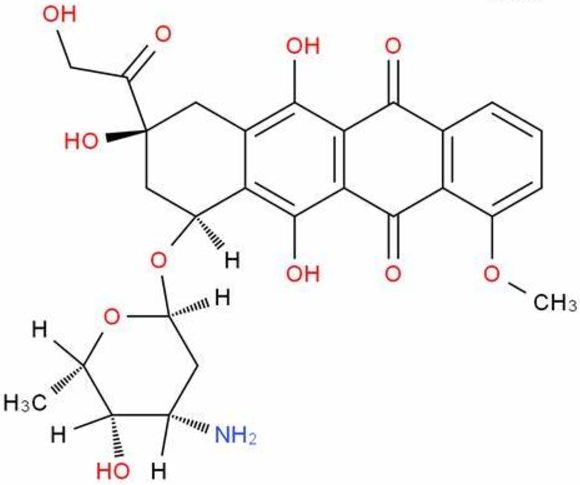 Doxorubicin-Loaded Liposomes 脂质体载阿霉素的优缺点