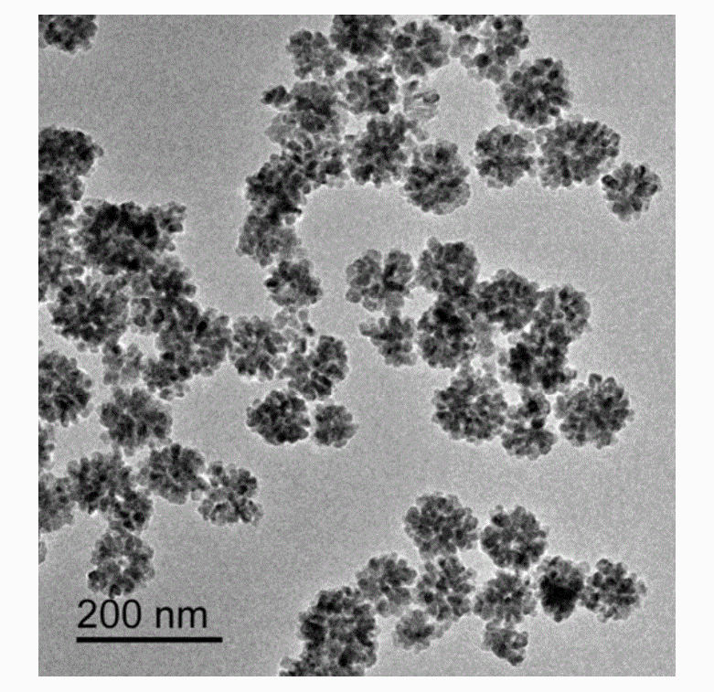超顺磁性氧化铁纳米粒子（20nm） 超顺磁四氧化三铁纳米粒的制备方式