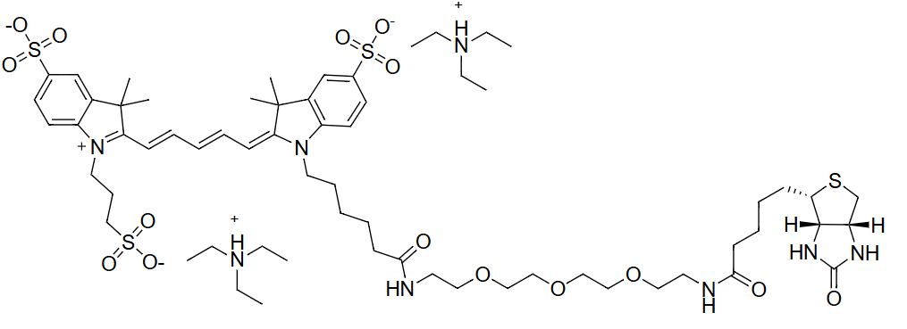 近红外荧光染料 CY5 的光物理性质