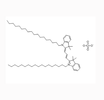 DiI-DQA Modified Liposomes  DiI-DQA修饰脂质体的应用原理