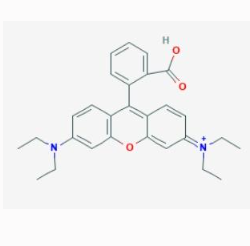 罗丹明B-海藻酸钠  RhB-Alginate  罗丹明B修饰海藻酸钠的相关特性